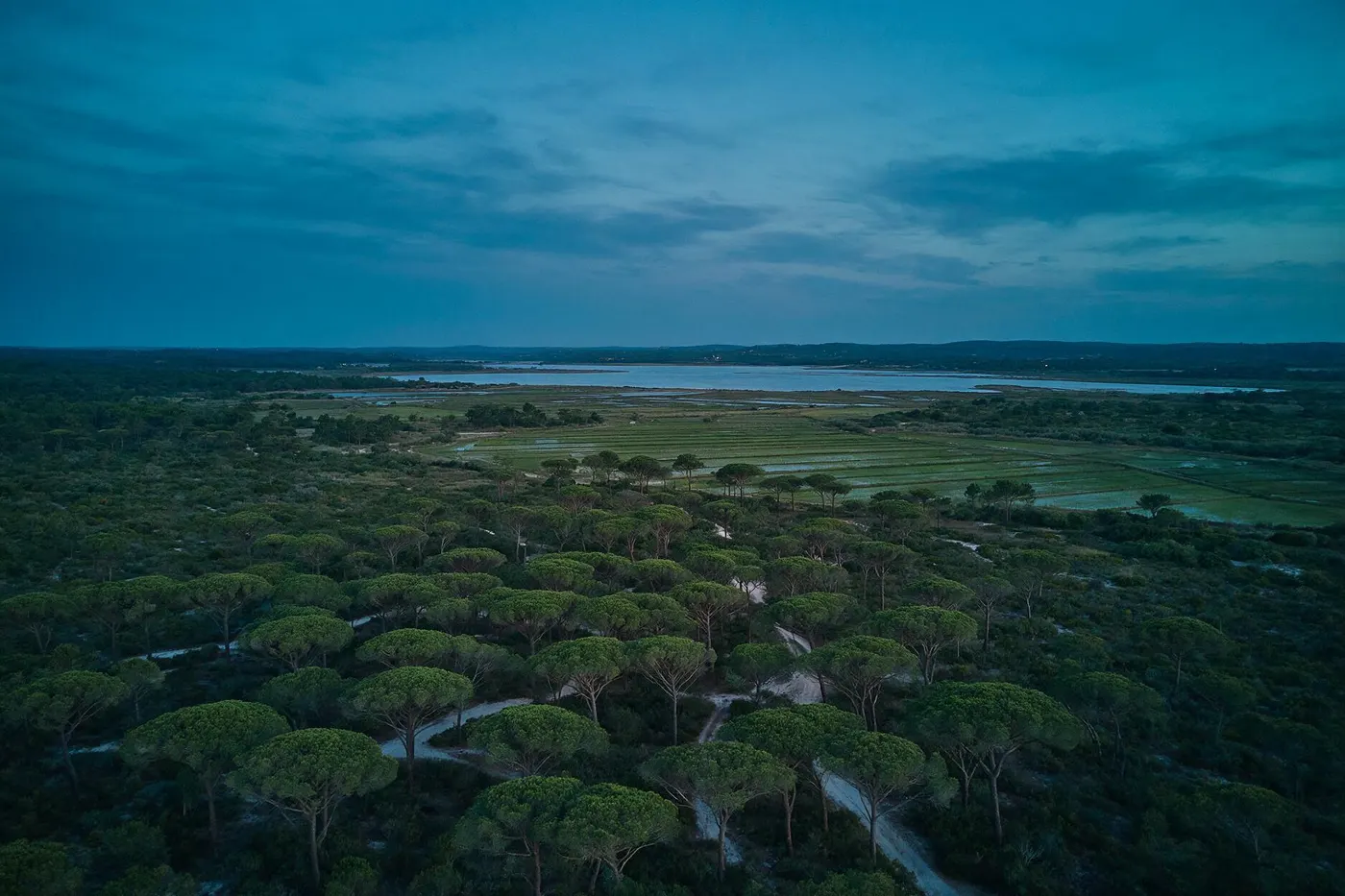 Vista aérea da herdade na Comporta ao anoitecer, com pinheiros-mansos e a lagoa ao fundo.